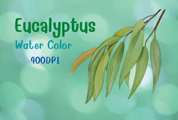 Download Eucalyptus Watercolor by Hand Draw - Hand Collection