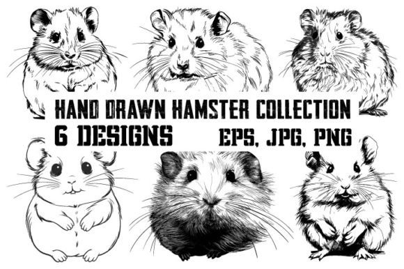 Download Collection of Hamster by Hand Drawn - Hand Collection
