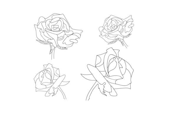 Download Rose Vector Set by Hand Drawing - Hand Collection